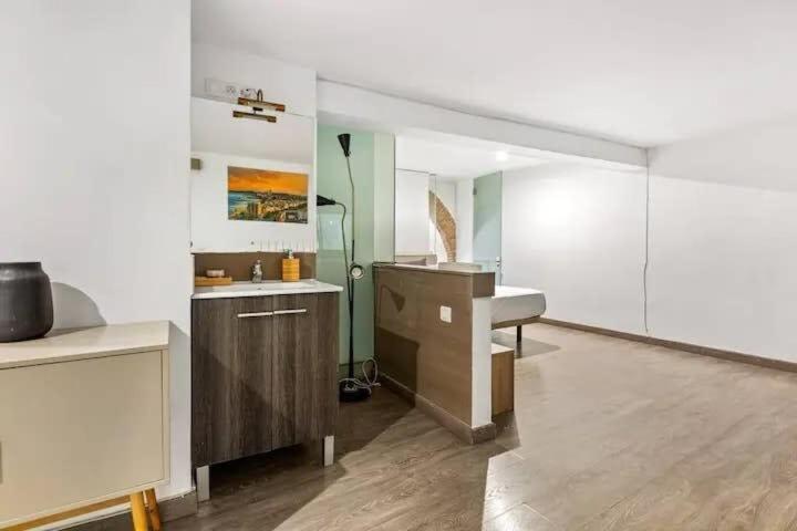 Huge Duplex With Private Garden Next To Ramblas Barcelona